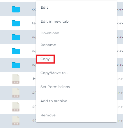 copy file manager